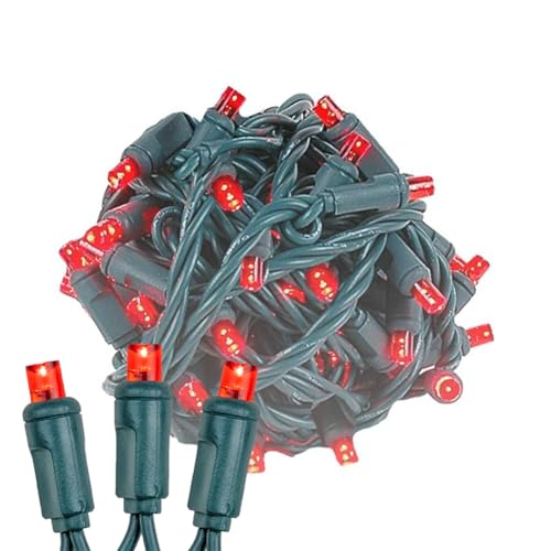 Novelty Lights 50ft 100 LED Red Christmas Lights, Green Wire String Lights - color: Red