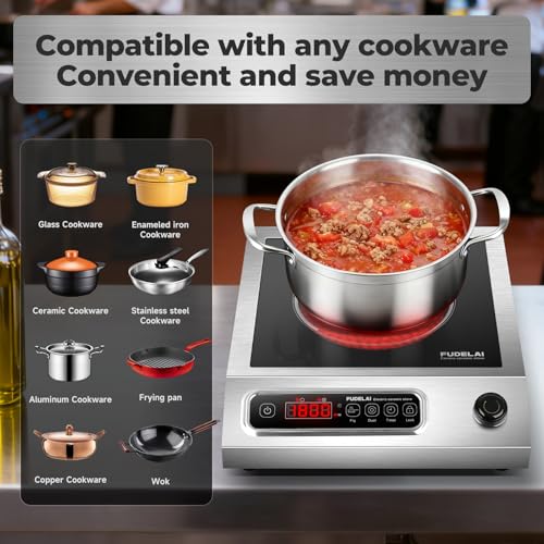 1800W Electric Hot Plate, Stainless Steel Portable Burner