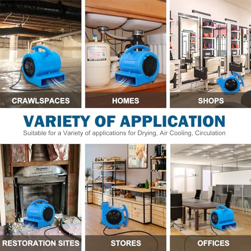MOUNTO 1/4hp 1000CFM 2 Speed Air Mover Carpet Dryer Floor Fan Cooling Fan (Blue) - color: Blue
