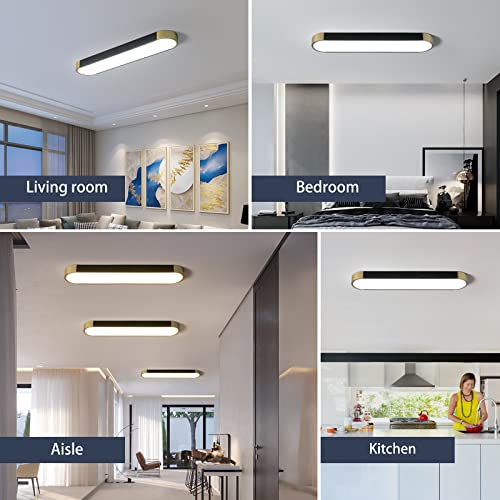 Tioolo Modern Ceiling Light, Dimmable LED Ceiling Light with Remote, 27.5in - color: Black+Gold/36W, Painted