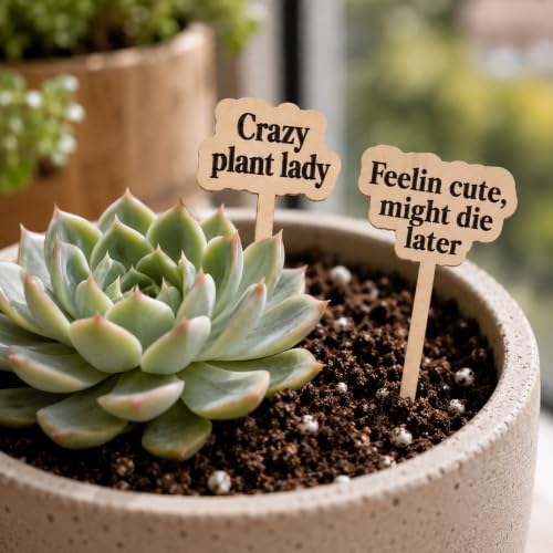 24 Pack Funny Plant Signs Set, Wooden Garden Plants Stakes with Humorous Sayings Gifts for Plant Lovers, Indoor Outdoor Succulents Flower Pots Accessories, Cute Gardening Plants Labels Decor