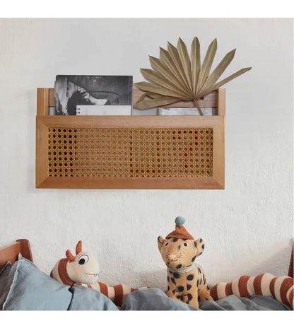 Wall Magazine Rack with PE Rattan Grid,Size 17.3" x 4" x 9.4",File Holder For Entryway,Living Room,Waiting Room,Kids’ room,Office(Retro Brown)