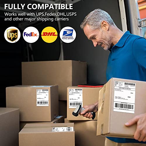 FungLam 4"X6" Thermal Shipping Labels, 4X6 Labels,White Mailing Shipping Labels, Perforated, 250 Labels,Compatible with iDPRT, JADENS and Rollo. - size: 1 Roll