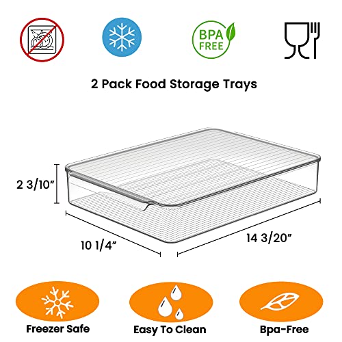 vacane 2 Pack Deli Meat Container for Fridge, Bacon Container with Lids for Refrigerator Fruit, Cold Cuts, Cheese Keeper Marinade Tray, Stackable Freezer Storage Containers - color: Tray-L
