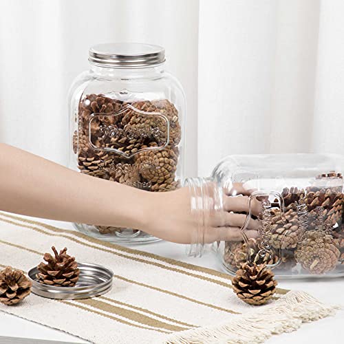 CATPOWER 1 Gallon Large Glass Jar With Mouth Canning Jar Kitchen Storage Jar Cookie Candy Penny Jar with Stainless Steel Screw Lid