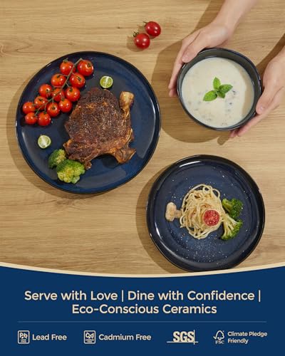 Pokini Stoneware Dinnerware Sets for 4, 12Pcs Ceramic Plates and Bowls Sets - color: Starry Blue, size: Set (12pcs)
