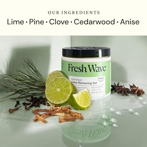 Fresh Wave Original Odor Eliminator Gel 2-Pack 15 oz & 7 oz Air Freshener - size: 22 fl oz (Pack of 2: 15 fl oz & 7 fl oz)