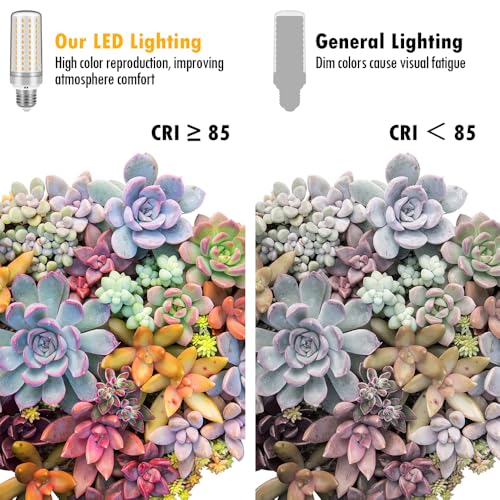 E26 LED Bulbs, 30W Equivalent 250W, 2 Pack 3000K Warm White Light - color: 3000k Warm White Light