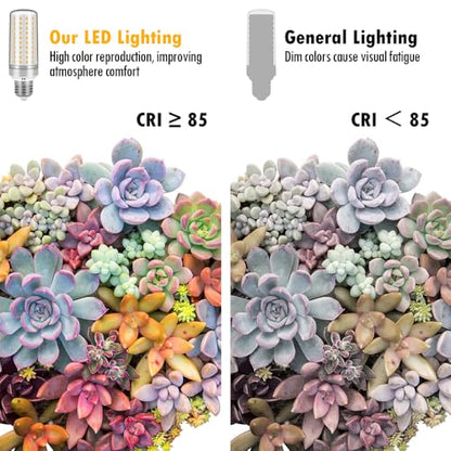 E26 LED Bulbs, 30W Equivalent 250W, 2 Pack 3000K Warm White Light - color: 3000k Warm White Light