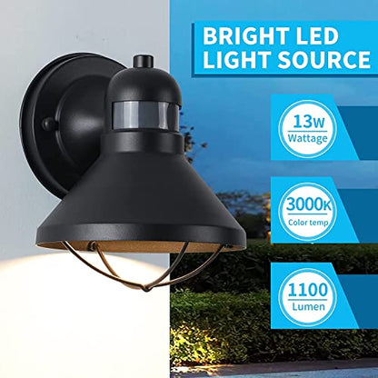 LONEDRUID 2 Pack Dusk to Dawn Motion Sensor Outdoor LED Wall Light Fixture - color: Black