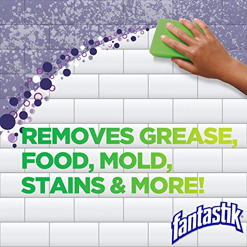 Fantastik All Purpose Cleaner with Bleach, Removes Grease & Mold, 32 oz - size: 32 Fl Oz (Pack of 1), style: All Purpose Cleaner with Bleach
