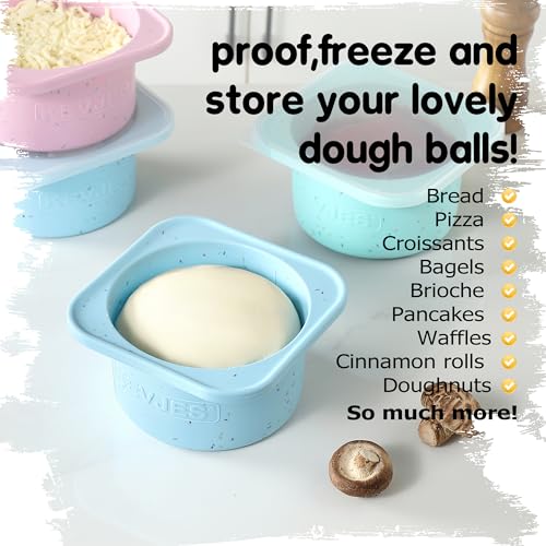 PLUS 1000ml Pizza Dough Proofing Containers, 2-Pack, Aqua - color: Aqua