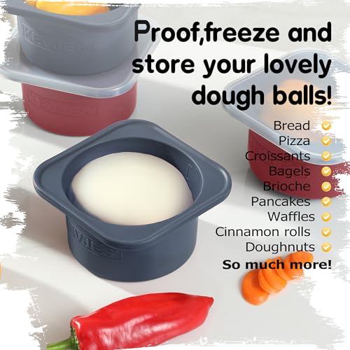 PLUS 1000ml Pizza Dough Proofing Containers, 2-Pack, Blueberry - color: Blueberry