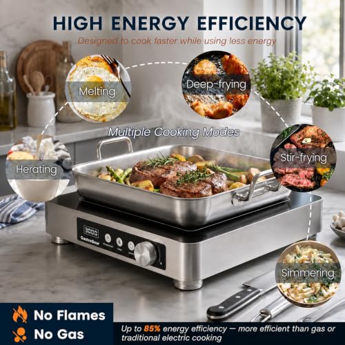 3000W Commercial Induction Burner, 208-240V Countertop Cooktop - size: 3000W/220 V induction cooktop