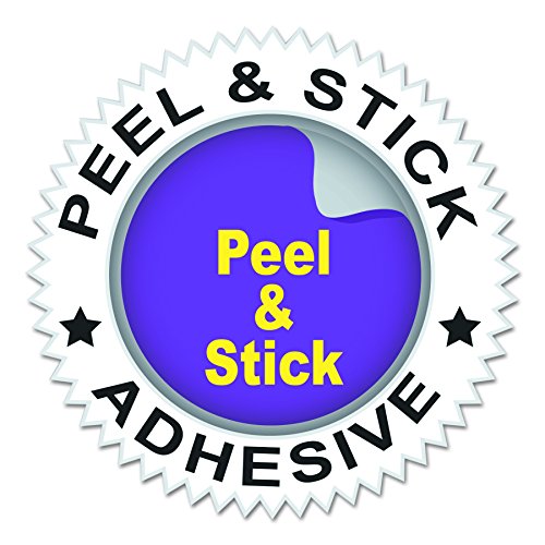 C-Line Self-Adhesive Label Holders, Top Load, 0.5 x 3, Clear, 50/Pack (Pack of 12) - size: 1/2 x 3-Inch (Pack of 12)