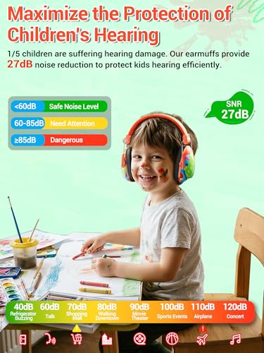 Dr.meter Toddler Ear Protection Noise Cancelling Headphones for Kids Autism - color: Print Dazzling