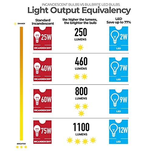 Bulbrite 8.5 Watt Dimmable Clear Filament ST18 / ST19 Medium (E26) LED Bulb - 850 Lumens, 3000K, and 90 CRI (1)