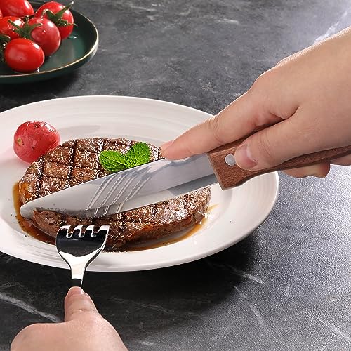New Star Foodservice 10 Inch Steak Knife Set of 12, Jumbo Serrated Stainless Steel Knives with 5 Inch Rounded Blades and Wood Handles