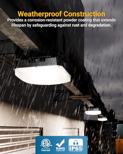 Sunco 6 Pack LED Outdoor Canopy Ceiling Light, 60W, 5000K, 8000LM Dimmable