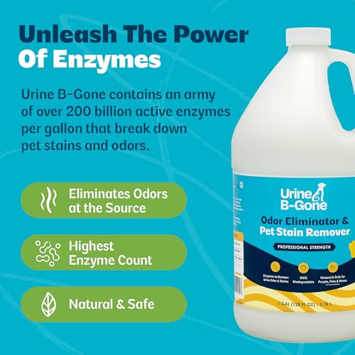 Urine B-Gone Enzyme Cleaner for Human, Cat & Dog Urine, Original, 1 Gallon - size: 128 Fl Oz (Pack of 1)