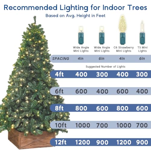 Novelty Lights 50ft 100 LED Red Christmas Lights, Green Wire String Lights - color: Red