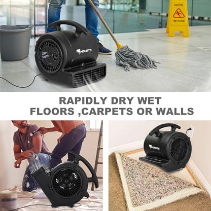 MOUNTO 1/4hp 1000CFM 2 Speed Air Mover Carpet Dryer Floor Fan Cooling Fan (Black) - color: Black