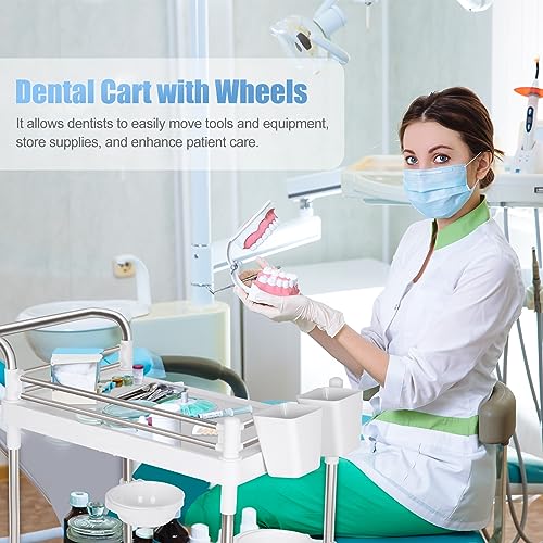 Medical Trolley Cart Mobile Utility Cart with Wheels 220 Lbs Load - color: 2-tier White
