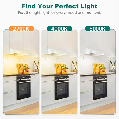 DiCUNO G8 LED Bulb Dimmable, 20W Equivalent, Warm White 2700K, 10-Pack - color: Warm White 2700k