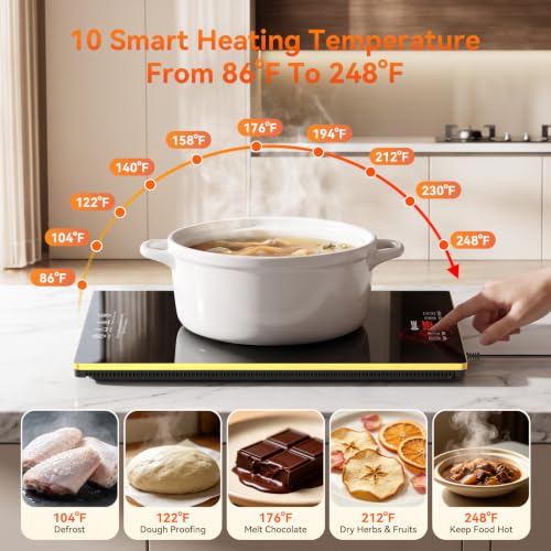 Commercial Electric Warming Tray for Buffet - Independent Temp 6 in 1 Black - color: 6-black