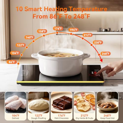 Commercial Electric Warming Tray for Buffet - Independent Temp 6 in 1 Black - color: 6-black