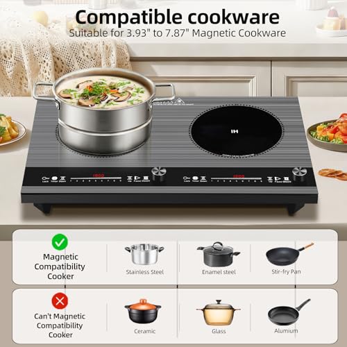 2 burner induction cooktop,110V 3000W 2 burner induction plate with Brushed Panel LED Knob Control, induction stove top with 9 Power Levels, Kids Lock & Timer,24 Inch double induction cooktop - size: 2 Burner induction Cooktop