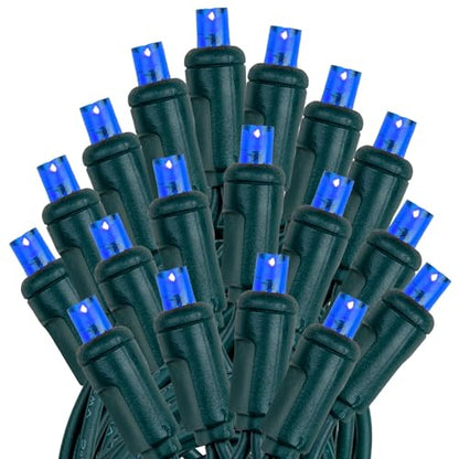 Novelty Lights 50ft 100 LED Blue Christmas Lights, Green Wire, Outdoor - color: Blue