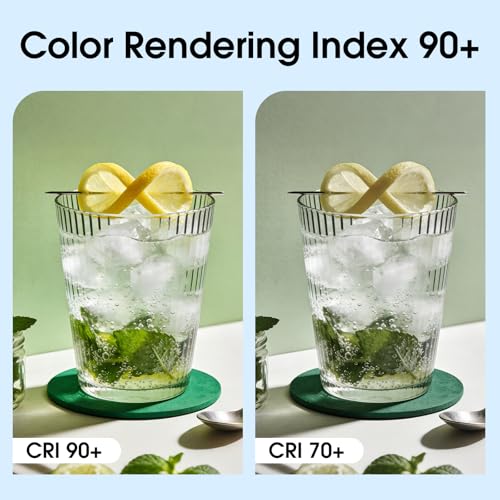 Energetic A19 LED Edison Light Bulb, E26 Dimmable, 60W Equivalent, 12 Pack - size: 12 Count(Pack of 1)