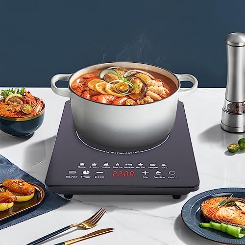 Portable Induction Burner, 110v 750w Electric Induction Burner with Touch Panel, LED Display Screen, 140-464℉ Adjustable Temp & Timer Commercial Hot Plate Cooker