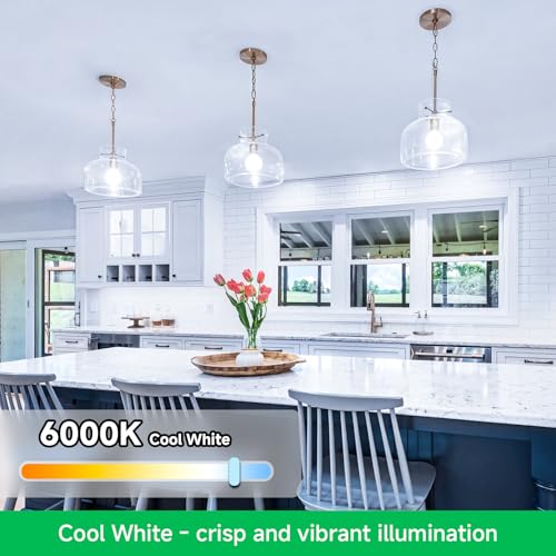 MAXvolador A19 LED Light Bulbs, 100 Watt Equivalent LED Bulb, 1100 Lumens Cool White 6000K E26 Medium Base, Non-Dimmable 11W LED Bulb 12-Pack - color: Cool White