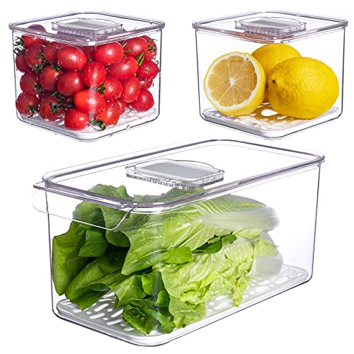 vacane Fresh Produce Saver for Refrigerator, 3 Pcs Food Fruit Lettuce Keeper Containers, Salad Vegetable Storage Organizers Stackable, BPA-free Stay Fridge Storage Containers - color: S+S+L