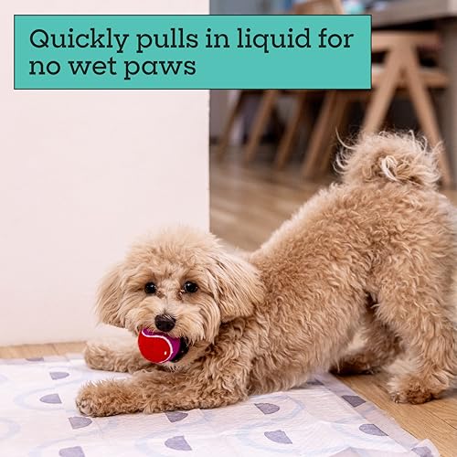 Pet Life Unlimited Smart Prints Large Puppy Pads for Dogs, Potty Training Pee Pads, 42 Count, 22" x 22", Leak-Proof, Super Absorbent, Quick-Dry, Patterned Pads with Odor Control, Made in USA - size: L 22" x 22" 42-Count