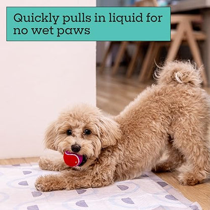 Pet Life Unlimited Smart Prints Large Puppy Pads for Dogs, Potty Training Pee Pads, 42 Count, 22" x 22", Leak-Proof, Super Absorbent, Quick-Dry, Patterned Pads with Odor Control, Made in USA - size: L 22" x 22" 42-Count