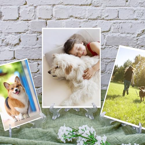 AccEncyc 25 Pack Acrylic Easel Stand 3 Inch Clear Plastic Easels Plate Holders Mini Easels Display Stand for Photos, Sports Cards, Baseball Card, Coins, Small Items
