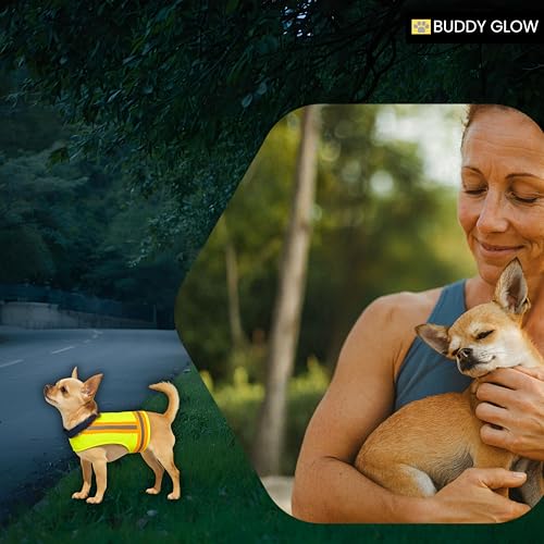 Reflective Dog Vest. High Visibility Yellow Safety Vest for Outdoors. Safeguard Your Dog with Easy to wear Adjustable and Breathable Reflective Gear for Toy or Tiny Breeds (2X-Small) - size: 2X-Small