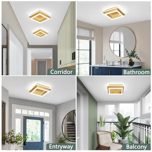 CANEOE 2 Packs Square Modern LED Light Fixture, 24W Black Flush Mount Hallway Light, Small Close to Ceiling Lamp for Living Room, Bedroom, Kitchen, Balcony, Cloakroom (All Gold, 2 Packs) - color: All Gold, size: 2 Packs