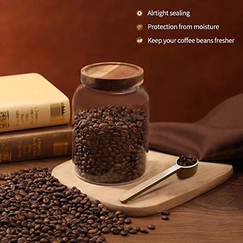 Glass Coffee Storage Jar with Lids Scoop Round Glass Coffee Ground Containers Borosilicate Glass Food Canister for Cereals Oats Beans Nut Sugar Candy Spice Rice Tea - color: 2000ml/67 oz