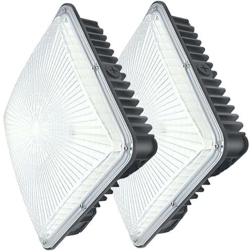 2Pack LED Canopy Light Fixture,8400Lm 70W,110V AC - size: Canopy-light