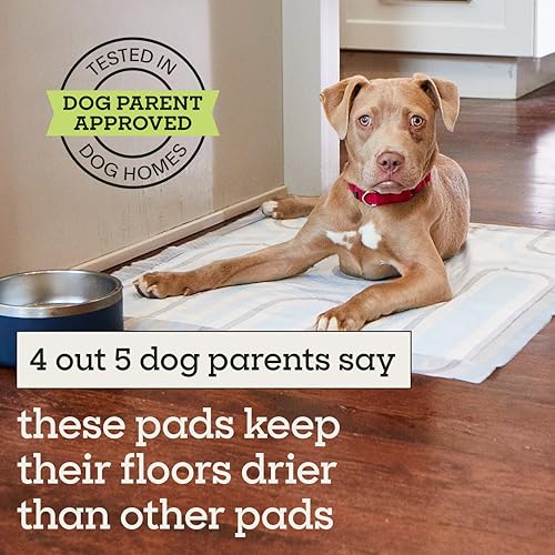 Pet Life Unlimited Smart Prints XL Puppy Pads for Dogs, Potty Training Pee Pads, 26 Count, 26" x 30", Leak-Proof, Super Absorbent, Quick-Dry, Patterned Pads with Odor Control, Made in USA - size: XL 26" x 30" 26-Count