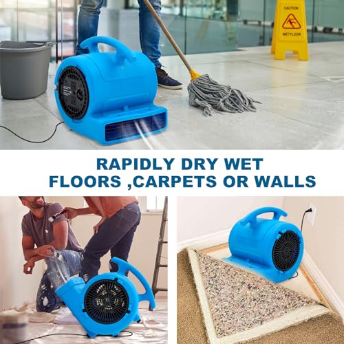 MOUNTO 1/4hp 1000CFM 2 Speed Air Mover Carpet Dryer Floor Fan Cooling Fan (Blue) - color: Blue