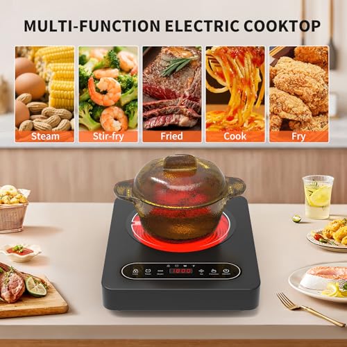 GIHETKUT Single Burner Electric Cooktop,110V 1800W Electric Stove Top with LED Touch Control,10 Power Levels, 4 hTimer, Safety Lock,single electric burner Overheat protection - size: single stove top