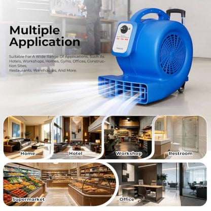 Air Mover Blower Fan, 1/2 HP Floor Dryer, 1800 CFM 3 Speed Adjustable Wide Angle Airflow, Swivel Wheels Telescopic Handle 7ft Cord, Carpet Floor Commercial Use