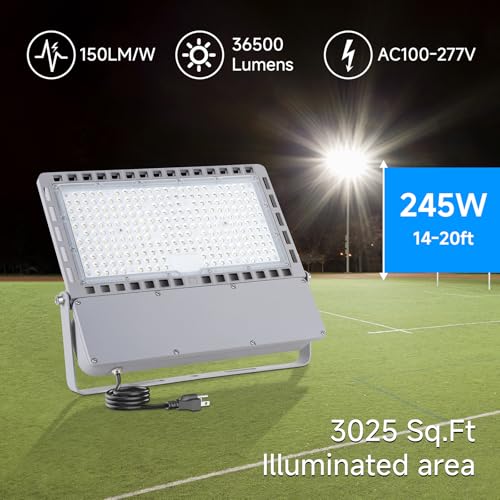 36500Lm 245W Led Stadium Outdoor Flood Light Area Lighting for Sport