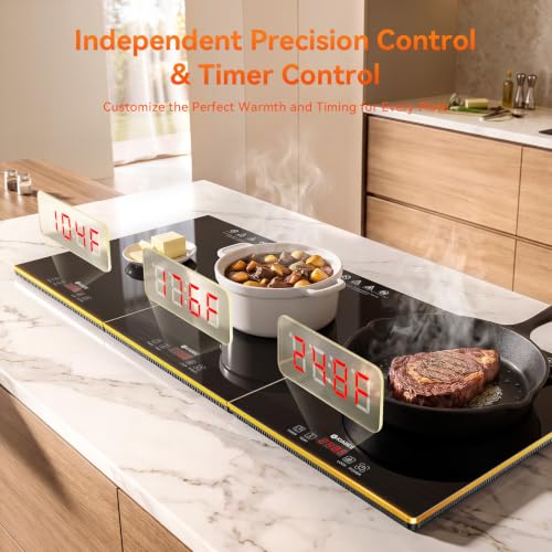 Commercial Electric Warming Tray for Buffet - Independent Temp 6 in 1 Black - color: 6-black