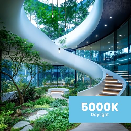 Feit Electric A21 LED Light Bulb, 150W Eq, Daylight White - color: 5000k Daylight, size: 150W